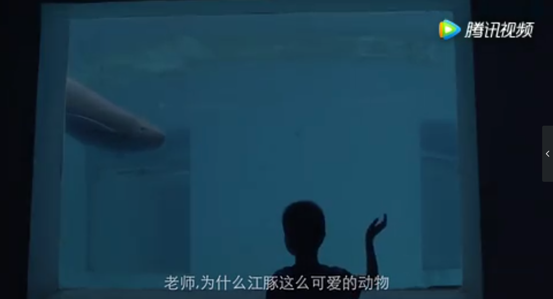 视频3